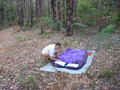 Setting up the sleeping site