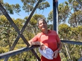 Gloucester Tree platform