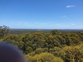 Gloucester Tree view