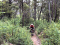 nearing Nglang Boodja Campsite