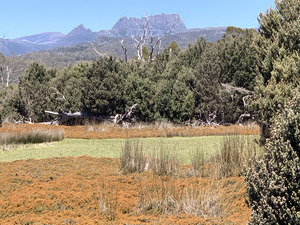 Cradle Mountain from Pencil Pine